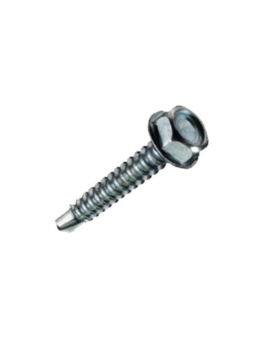 Holsurub autoforant cap hexagonal (4.8MMx19MM)